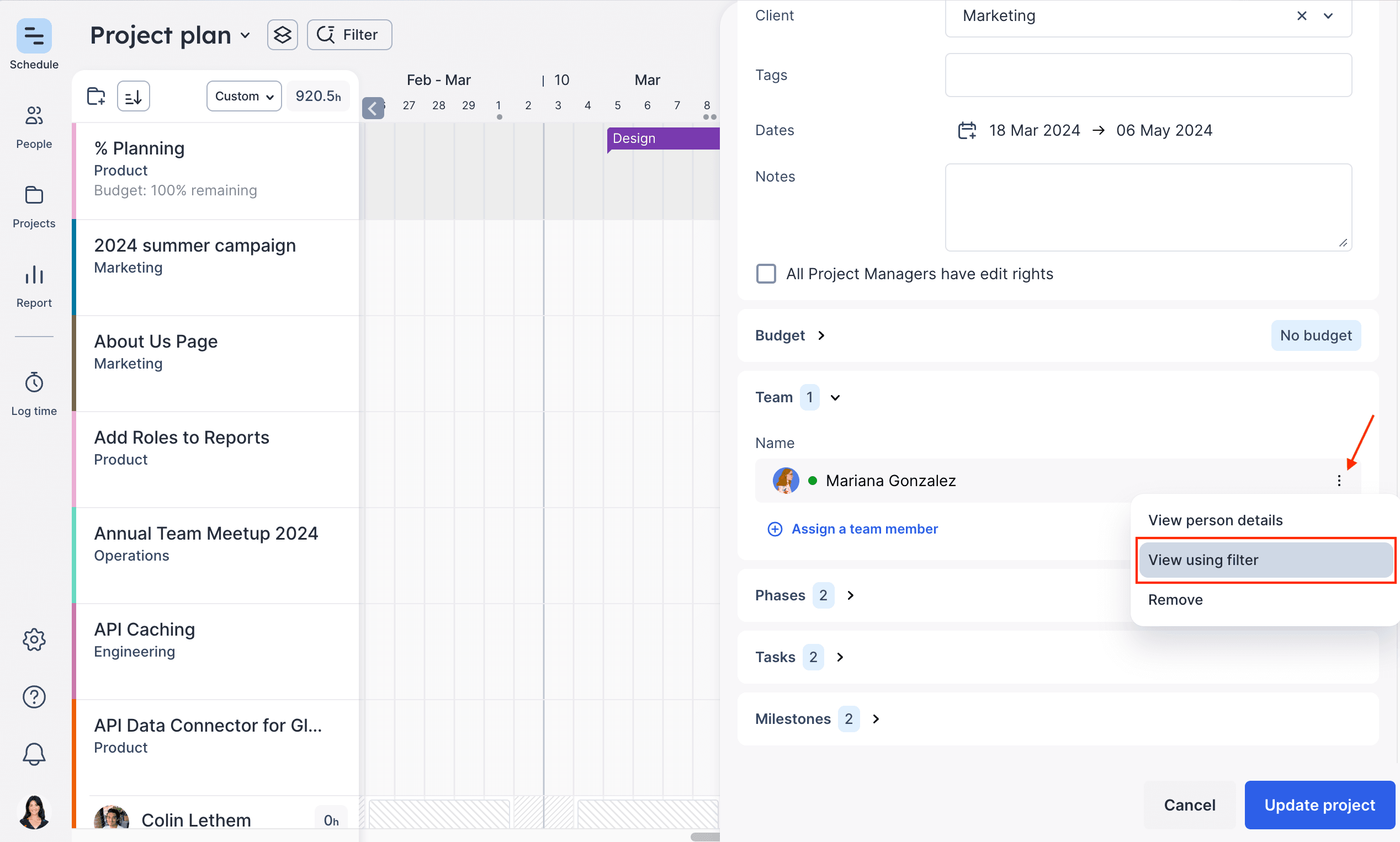 project side panel filter by view