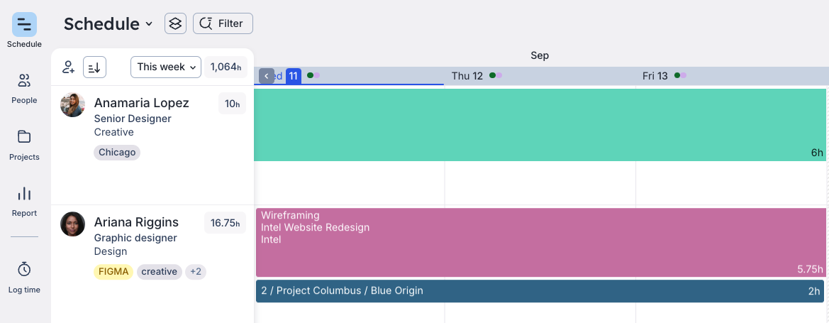 Schedule showing mismatch between team member's skill and task